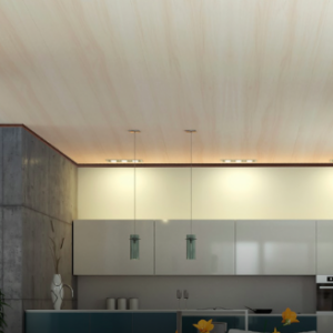 acabados en cielo raso