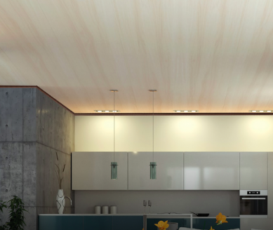 acabados en cielo raso