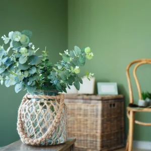 Florero de cristal con ramas de eucalipto en una habitacion verde de Tendencias en Diseno de Interiores 2026.